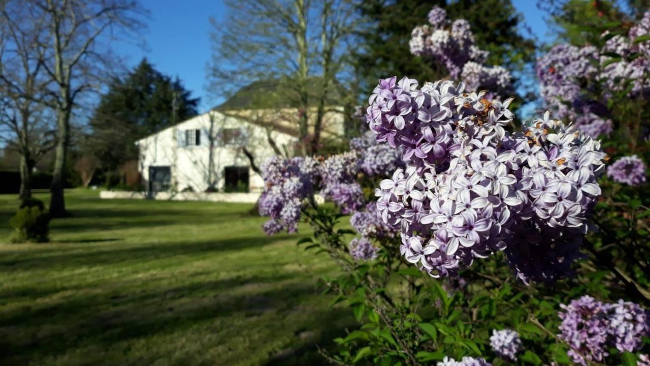 La Maison Du Champ De Beaumont Galgon Esterno foto